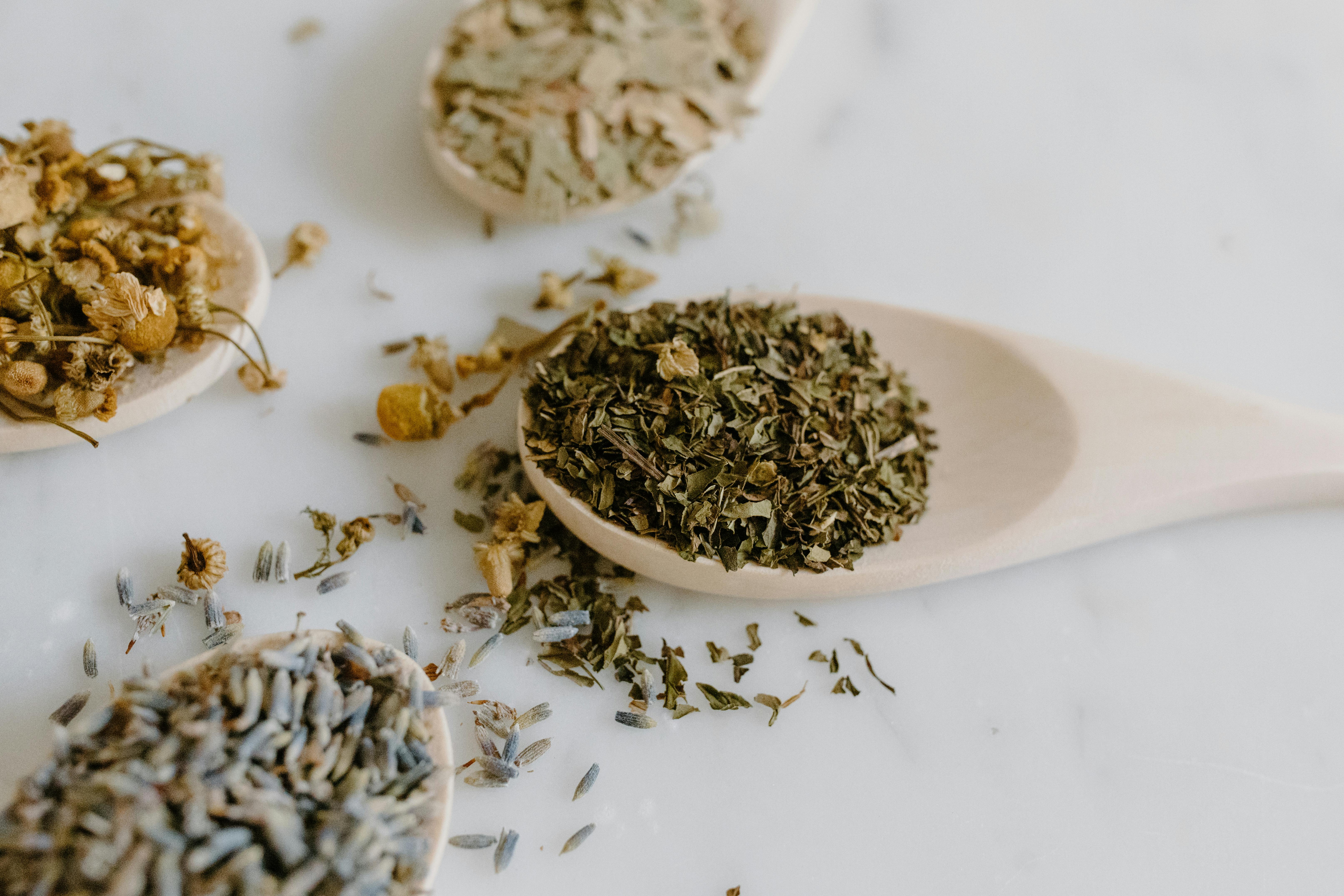 A collection of dried herbs on wooden spoons for natural remedies and alternative medicine.